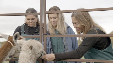 Dr. Oakley, Yukon Vet Сезон 9