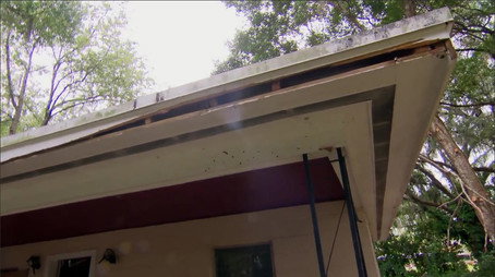 Zombie House Flipping Сезон 2