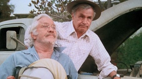The Trees, the Bees and T.T. Flowers: Part 2 (1977) - Episode 15 poster and promotional image
