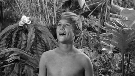 Gilligan Meets Jungle Boy (1965) - Episode 19 poster and promotional image