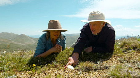 Episode 41 (2019) - Episode 41 poster and promotional image