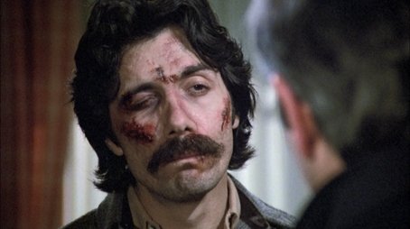 Zen and the Art of Law Enforcement (1982) - Episode 13 poster and promotional image