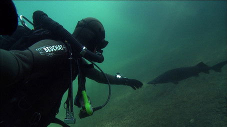 Episode 153 (2014) - Episode 153 poster and promotional image