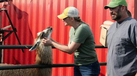 So Hard to Say Goat-bye (2021) - Episode 1 poster and promotional image