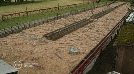 Lépéselőnyben Évad 5