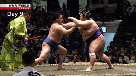 GRAND SUMO Highlights Сезон 11
