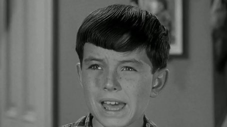 Beaver's Freckles (1960) - Episode 5 poster and promotional image