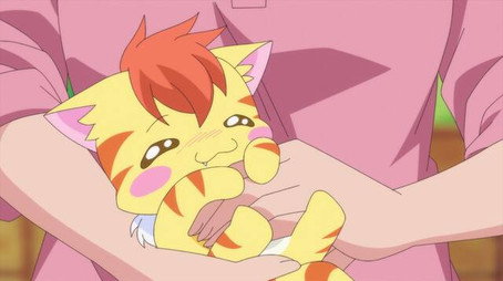 ヒーリングっど♥プリキュア Сезон 1