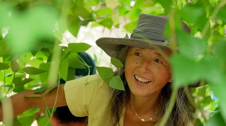Gardening Australia Сезон 37