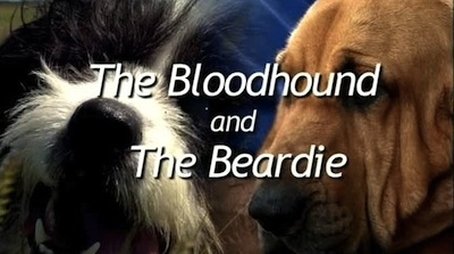 The Bloodhound and the Beardie (2007) - Episode 7 poster and promotional image
