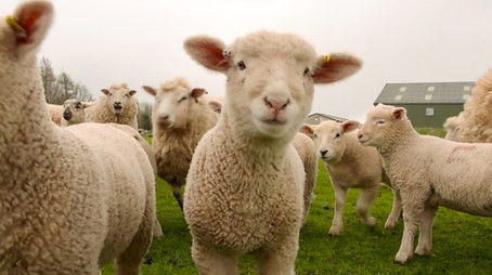 Nidderdale (2021) - Episode 17 poster and promotional image