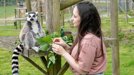Animal Park Stagione 20