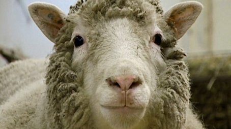 Dolly: The Sheep That Changed the World (2021) - Episode 3 poster and promotional image