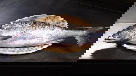 SALMON (2021) - Episode 8 poster and promotional image