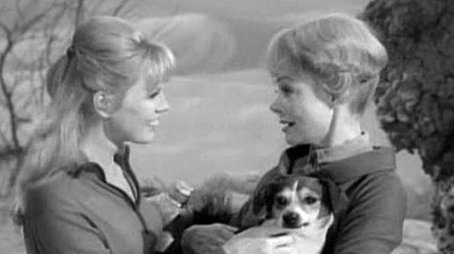 One of Our Dogs Is Missing (1965) - Episode 13 poster and promotional image