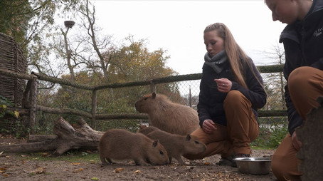 Expédition Pairi Daiza Сезон 12
