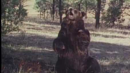 The Runaway (1978) - Episode 16 poster and promotional image