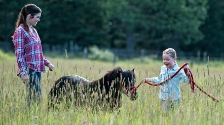 A Horse With No Rider (2016) - Episode 9 poster and promotional image