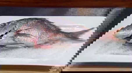 Elimination Challenge: Three Dishes from One Snapper (2014) - Episode 8 poster and promotional image