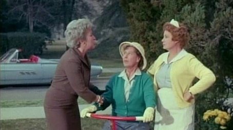 Hazel Digs a Hole for Herself (1963) - Episode 27 poster and promotional image