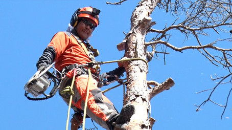 Living With Forest and Mountain (2021) - Episode 12 poster and promotional image