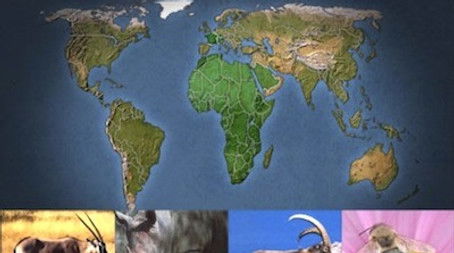 Episode 15 (2004) - Episode 15 poster and promotional image