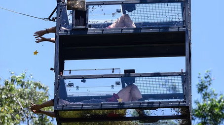 I'm a Celebrity...Get Me Out of Here! Сезон 18