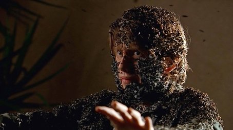Der Herr der Fliegen
