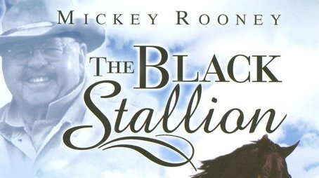 The Adventures of the Black Stallion (1992) poster