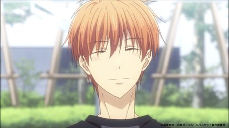 Fruits Basket311