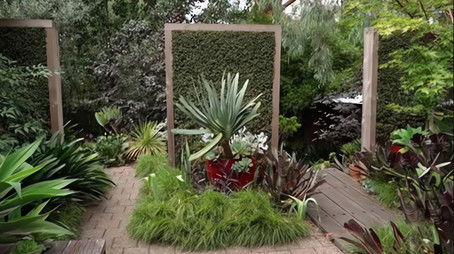 Episode 26 Tomato, Lycophyte, Sheet Mulch & Steven Wells (2022) - Episode 26 poster and promotional image