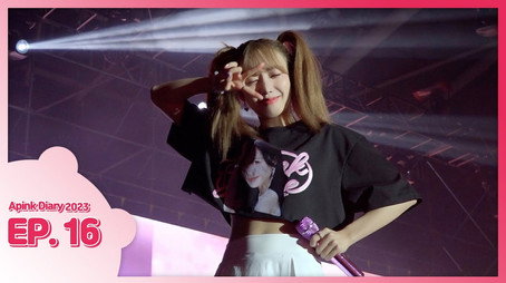 에이핑크 다이어리 Сезон 10