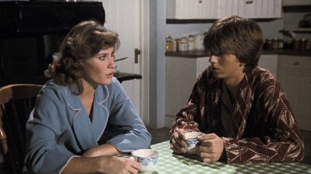 The Fastidious Wife (1979) - Episode 13 poster and promotional image