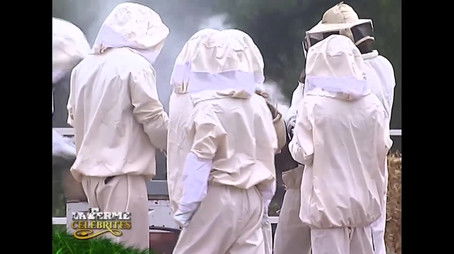 Episode 29 (2004) - Episode 29 poster and promotional image