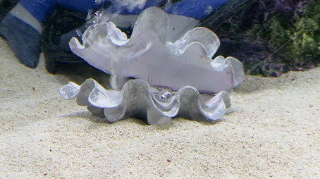 Tanked Sezona 1