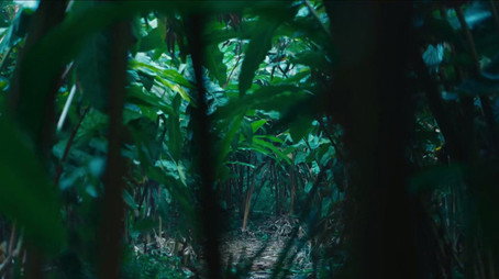 鬼吹灯之云南虫谷 Stagione 1