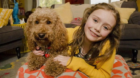 Waffle the Wonder Dog Сезон 4