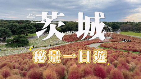 730 玩返轉 Сезон 1