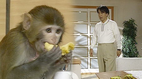 Episode 16 (1998) - Episode 16 poster and promotional image