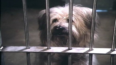 Here's Boomer Évad 1