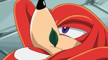 Knuckles und Hawk