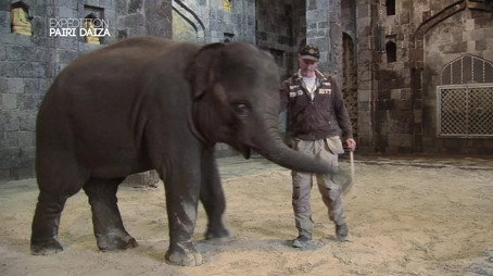 Expédition Pairi Daiza Сезон 1