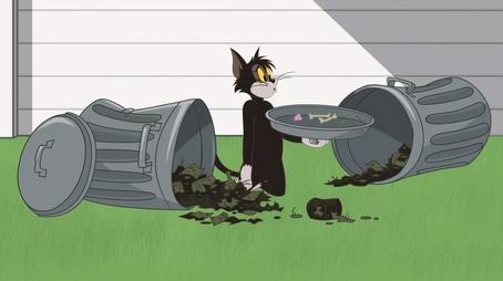 O Show de Tom e Jerry246