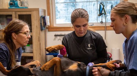 Dr. Oakley, Yukon Vet Сезон 10