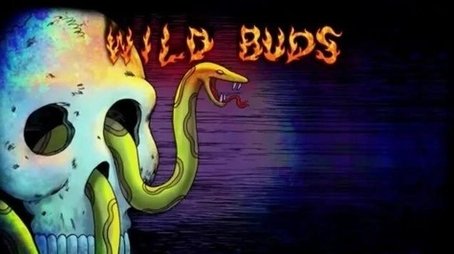 Wild Buds (2015) - Episode 24 poster and promotional image