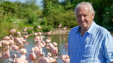 David Attenborough's Natural Curiosities Сезон 3