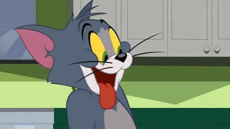 O Show de Tom e Jerry421
