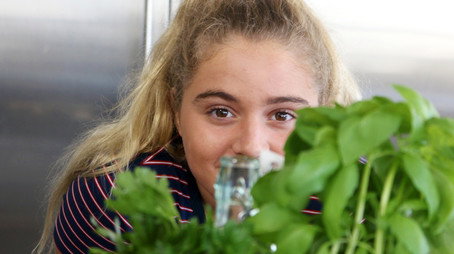 Matilda and the Ramsay Bunch Сезон 3