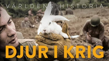 Världens historia Сезон 2