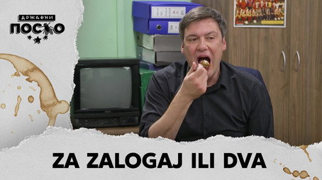 Државни посао Сезон 13